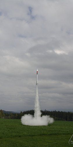 2013 Svojek Mirek Topinka